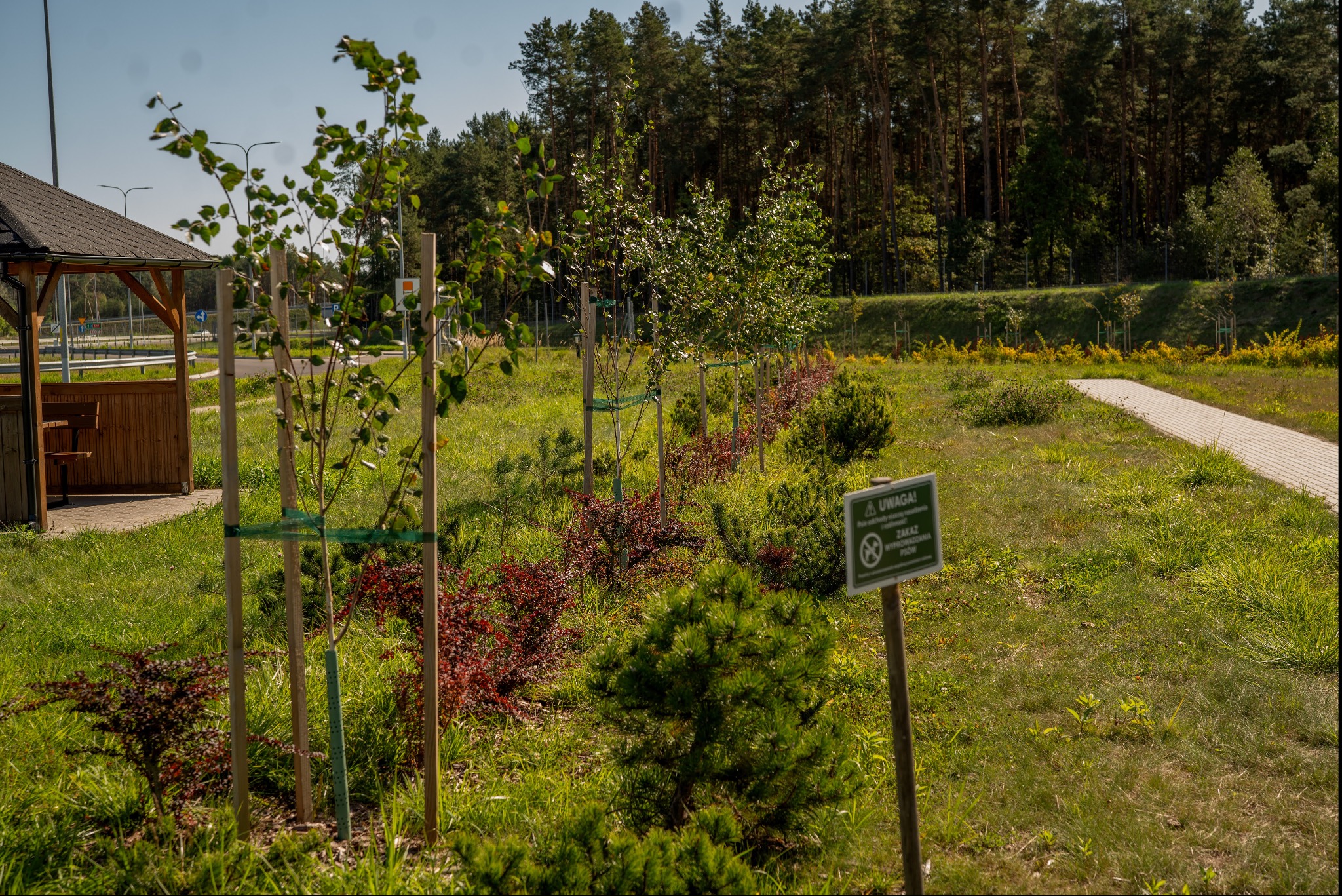 Nasadzenia przy prochach /MOP'ach