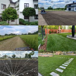 Trawa z rolki Mińsk Mazowiecki 1