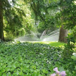 Aqua and Garden Solution