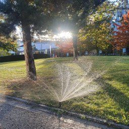 Systemy nawadniania Łężyce 1