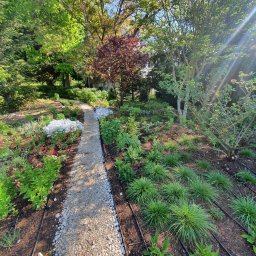 Systemy nawadniania Łężyce 3