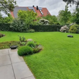 Robot koszący na idealnie przystrzyżonym trawniku z dekoracyjnymi rabatami i żywopłotem w tle, widok z poziomu patio.