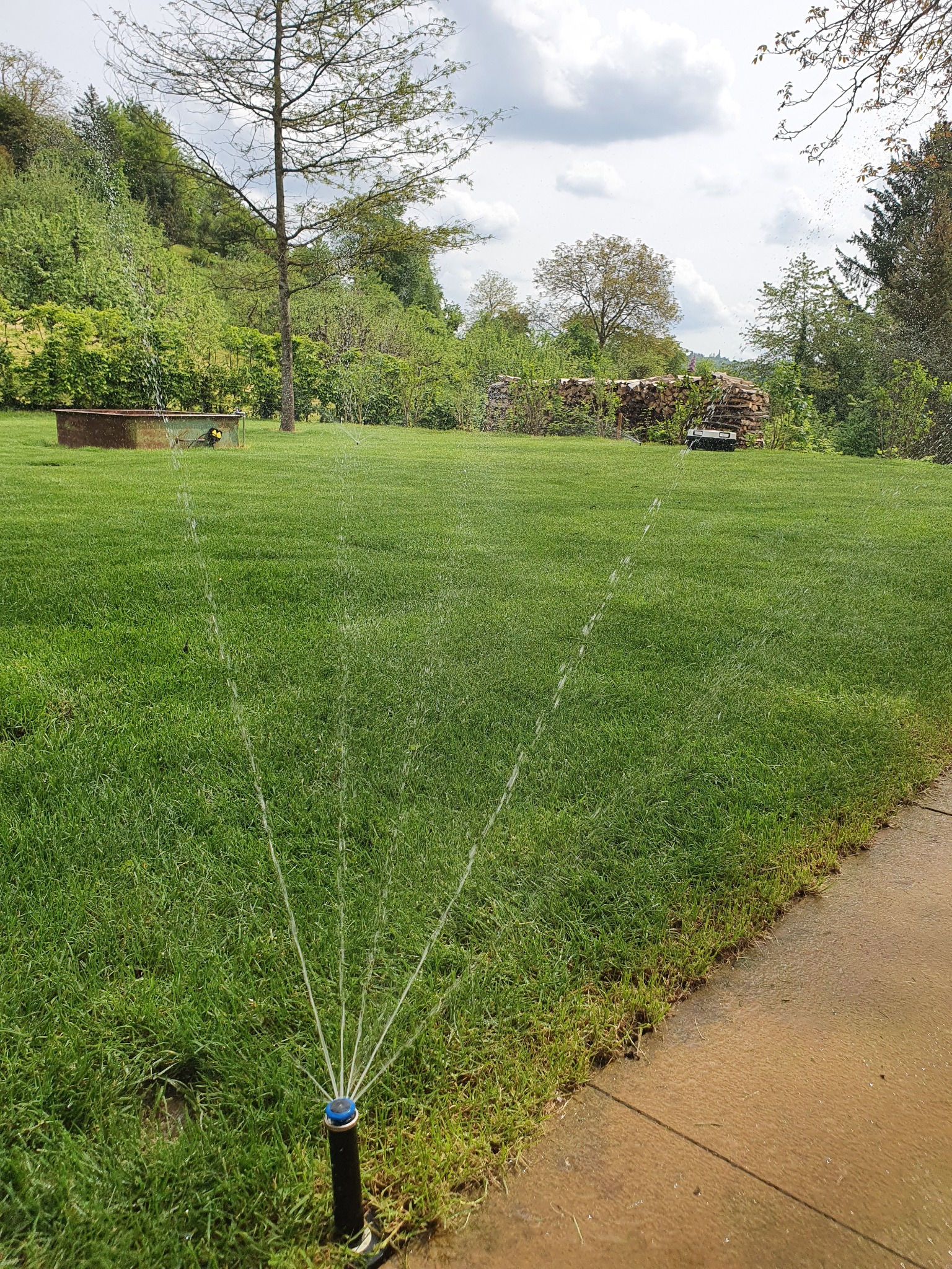 Automatyczny system nawadniania trawnika z dyszą rozpylającą wodę, w tle zielony krajobraz z drzewami i stertą drewna.