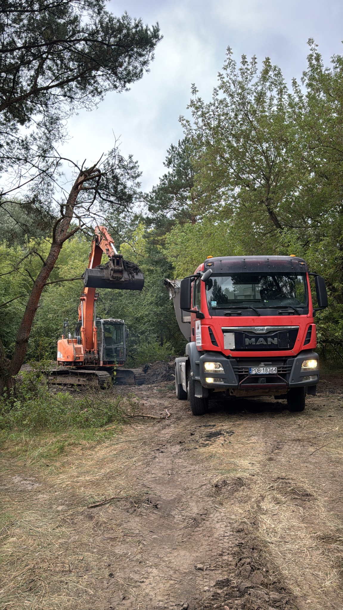 Pomarańczowa koparka z pełną łyżką ziemi obok czerwonej ciężarówki MAN na leśnej drodze. Przygotowanie terenu pod budowę w otoczeniu drzew.