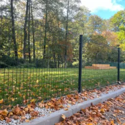 Nowoczesne ogrodzenie panelowe w kolorze grafitowym, z widocznymi słupkami, zamontowane na obrzeżu trawnika, z opadłymi liśćmi jesiennymi przy krawężniku, w tle drzewa w jesiennej kolorystyce.