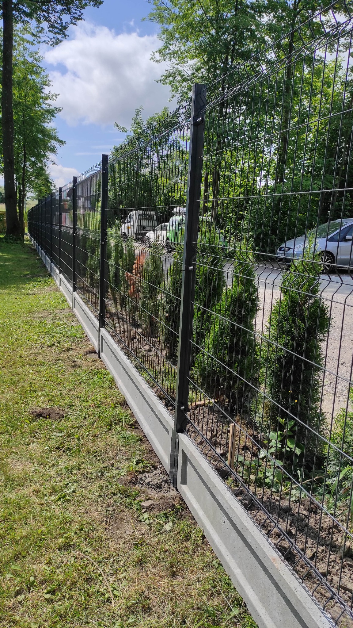 Długa, czarna siatka ogrodzeniowa z betonową podmurówką, otaczająca posesję z widocznymi tujami wzdłuż ogrodzenia i samochodami w tle.