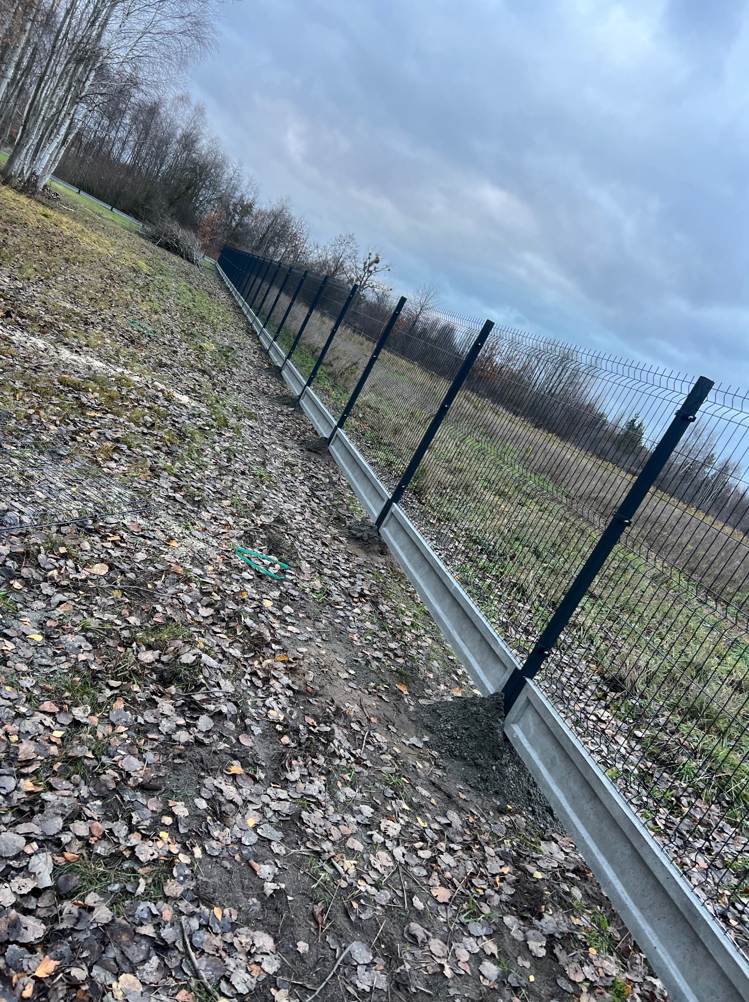Długa linia ogrodzenia panelowego z podmurówką betonową na nierównym terenie pokrytym liśćmi, widoczne słupki i siatka, pochmurne niebo w tle.