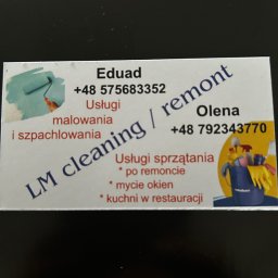 LM CLEANING REMONT OLENA MAZUR - Malowanie Biur Poznań
