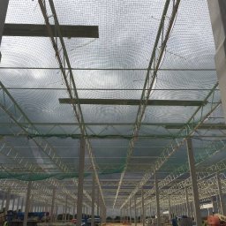 Roof Craft VASYL ANDROSHULIK - Wnętrze budowanej hali stalowej z widoczną konstrukcją nośną, betonowymi słupami i siatką zabezpieczającą pod dachem, maszyny budowlane i materiały na placu budowy.