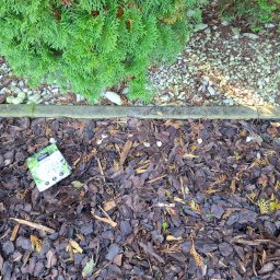 Patryk Gospodarczyk - Firma Ogrodnicza Cedry Wielkie