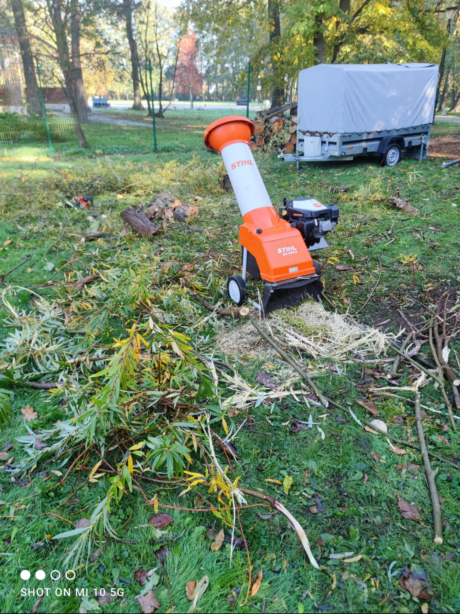 Pomarańczowo-biała rozdrabniarka gałęzi marki Stihl na trawniku pokrytym świeżo pociętymi gałęziami i wiórami, w tle przyczepka z plandeką i drzewa.