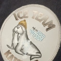 Logo dla klubu Morsów