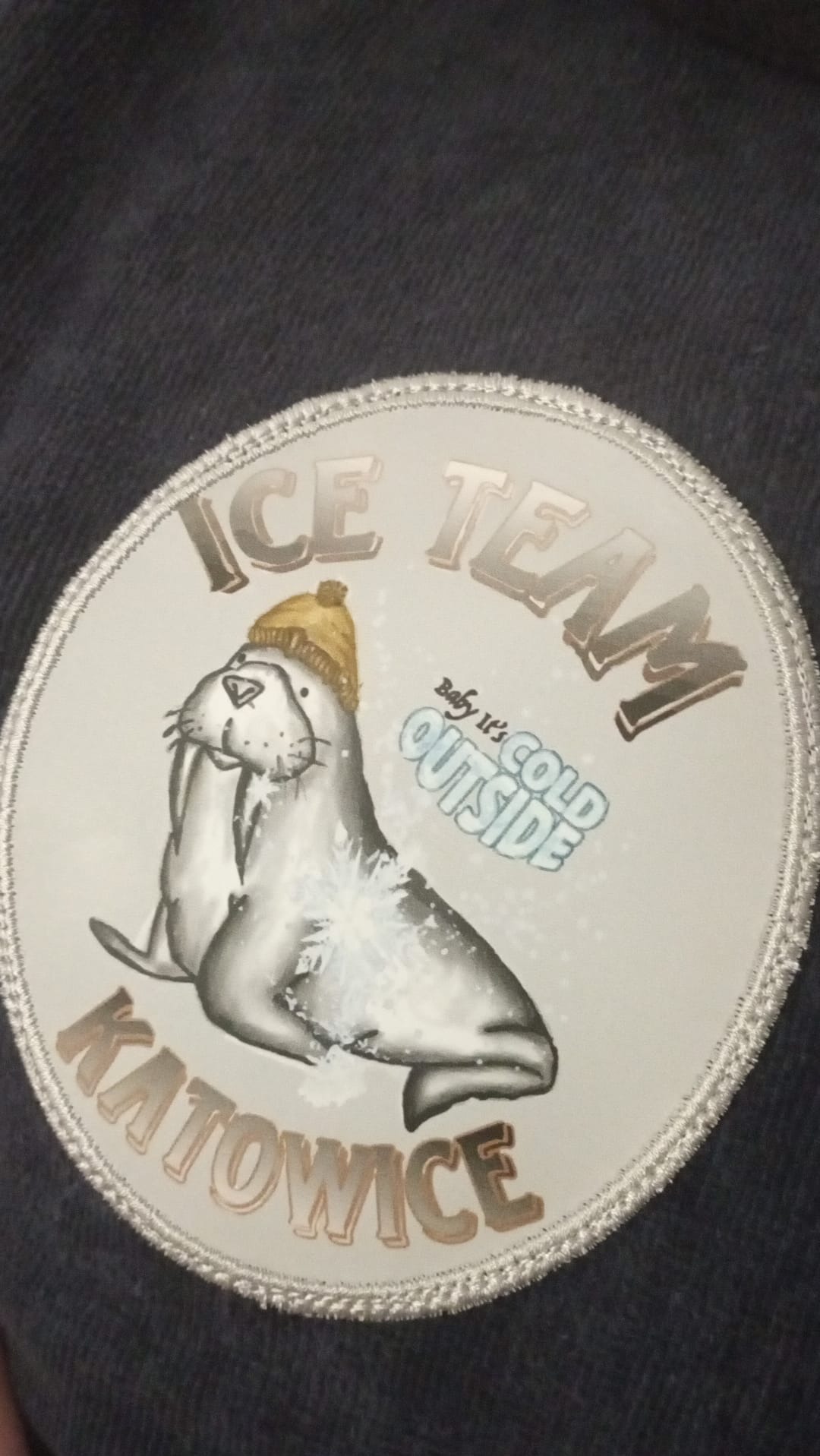 Logo dla klubu Morsów