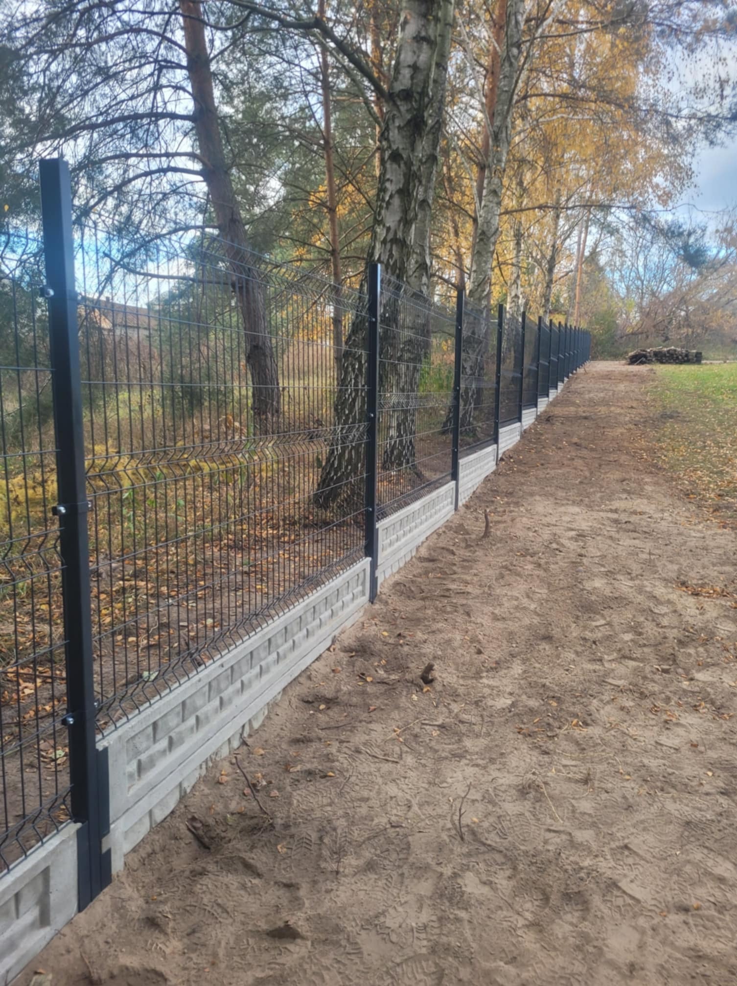 Długa linia ogrodzenia z paneli z podmurówką betonową, widoczna w perspektywie, z czarnymi słupkami i siatką, w tle drzewa z jesiennymi liśćmi i sterta drewna.