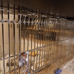 Fundamenty Księżpol 2