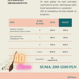 Wycinka drzew Warszawa 2