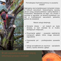 Wycinka drzew Warszawa 1