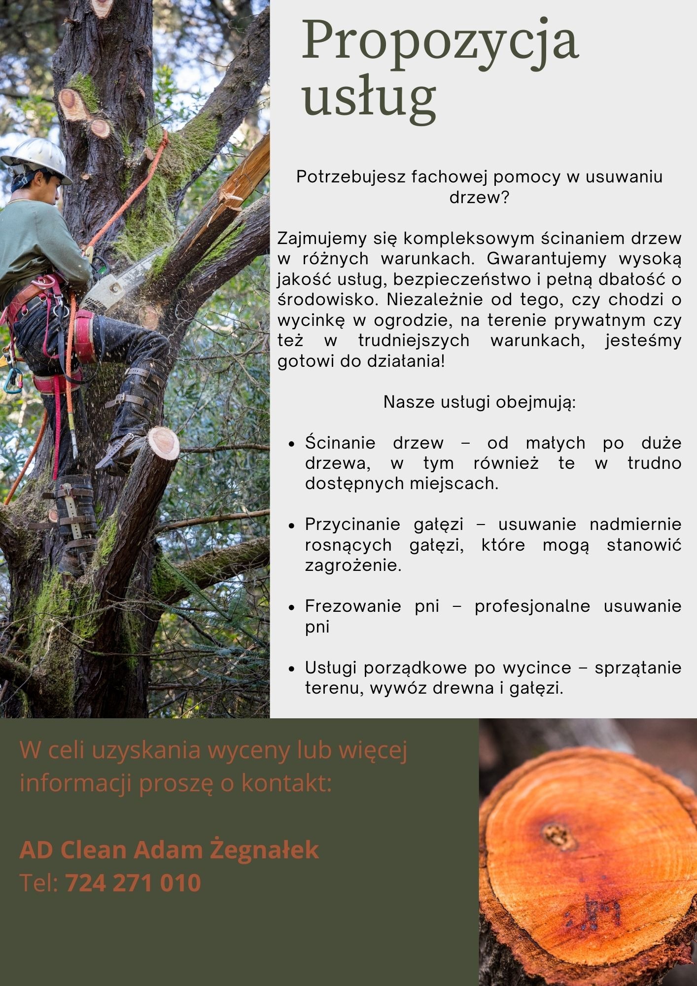 Arborysta w kasku i uprzęży, zawieszony na linach, tnie gałąź drzewa piłą łańcuchową na dużej wysokości, z widocznymi świeżymi cięciami i mchem na korze.