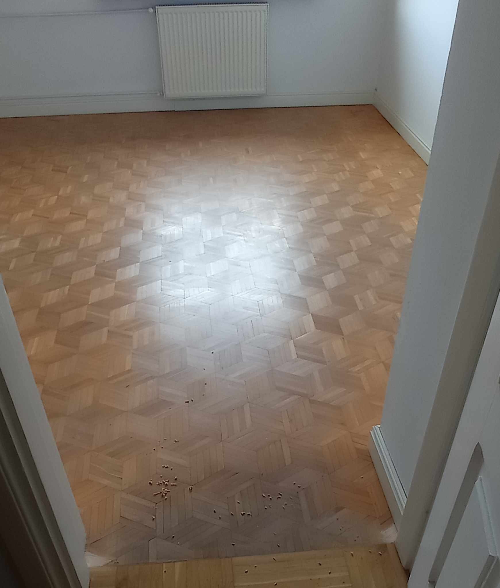 Parkiet w jodełkę po renowacji, widoczne drobne wióry. Jasne drewno, białe ściany i grzejnik. Ujęcie z progu, perspektywa z góry.