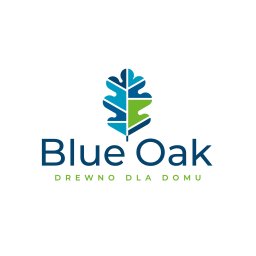 BLUE OAK SPÓŁKA Z OGRANICZONĄ ODPOWIEDZIALNOŚCIĄ - Budowa Antresoli Kraków