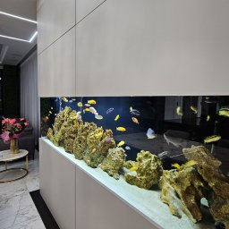 Kuchnie na wymiar Szczecin 1