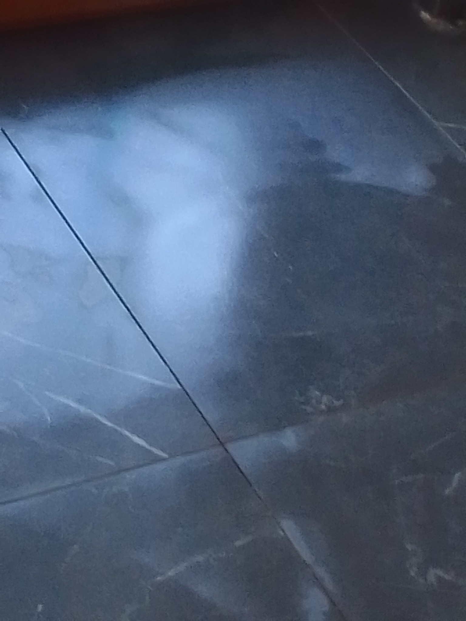 Ciemnoszara, polerowana płytka podłogowa z subtelnym marmurkowym wzorem i widocznymi fugami.