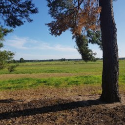 Naprawa telewizorów Boguszów-Gorce 2
