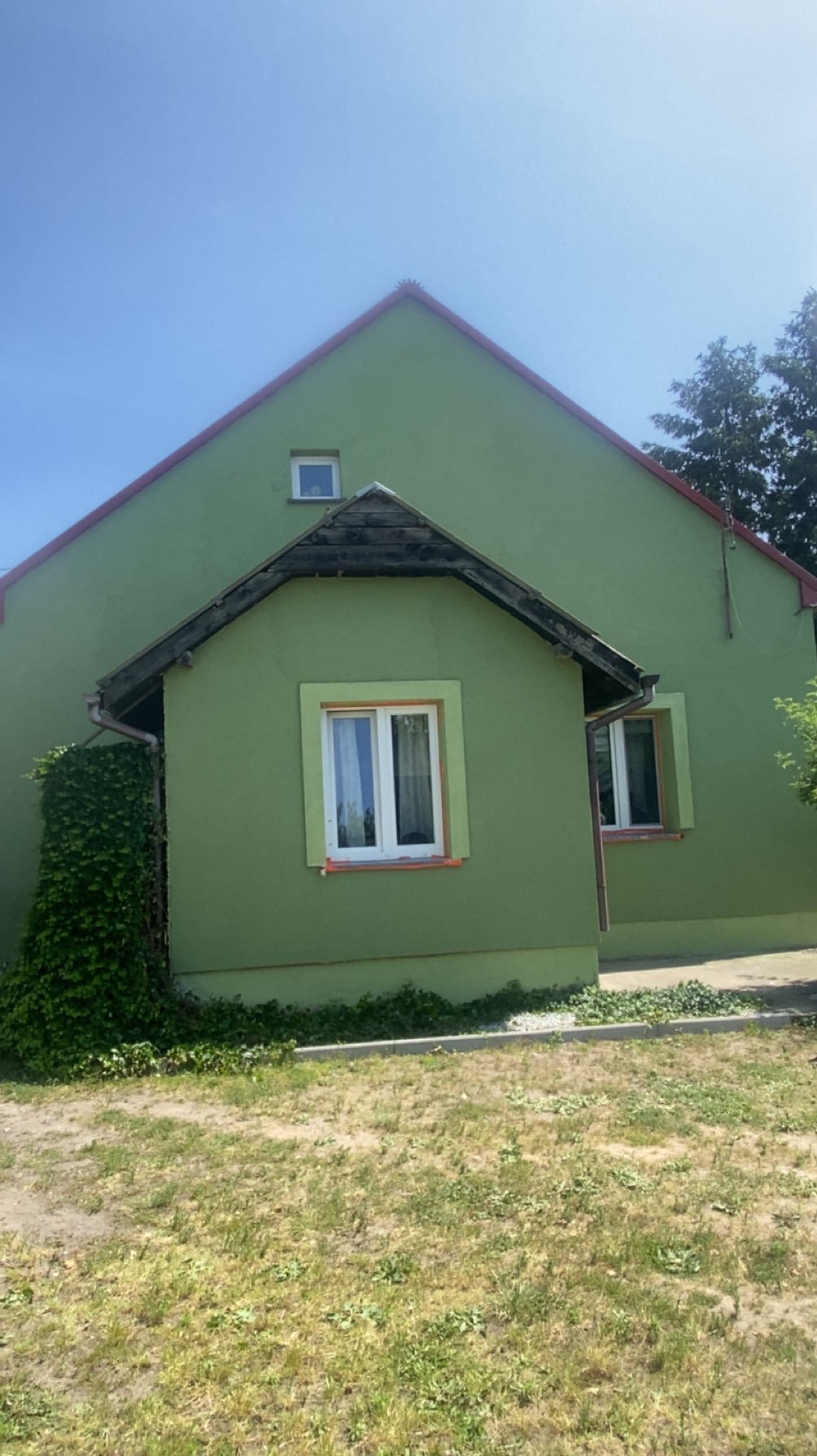 Zielony dom jednorodzinny z oknami po renowacji. Widoczne odnowione elewacje i nowe okna z białymi ramami. Częściowo widoczne zarośla.