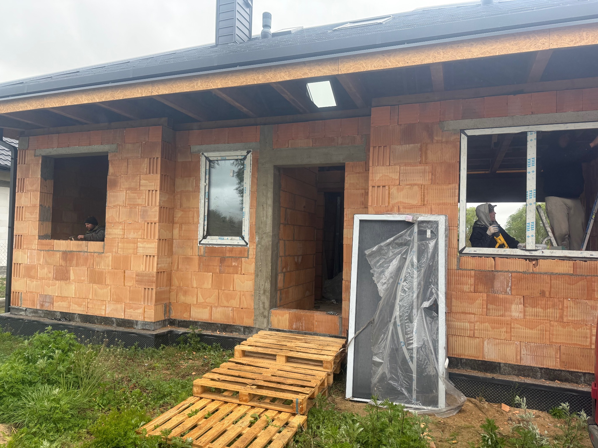 Budowa domu jednorodzinnego z czerwonej cegły. Widoczne okna wstawione w surowy mur, palety jako schody i pracownicy w oknach. Etap prac murarskich.