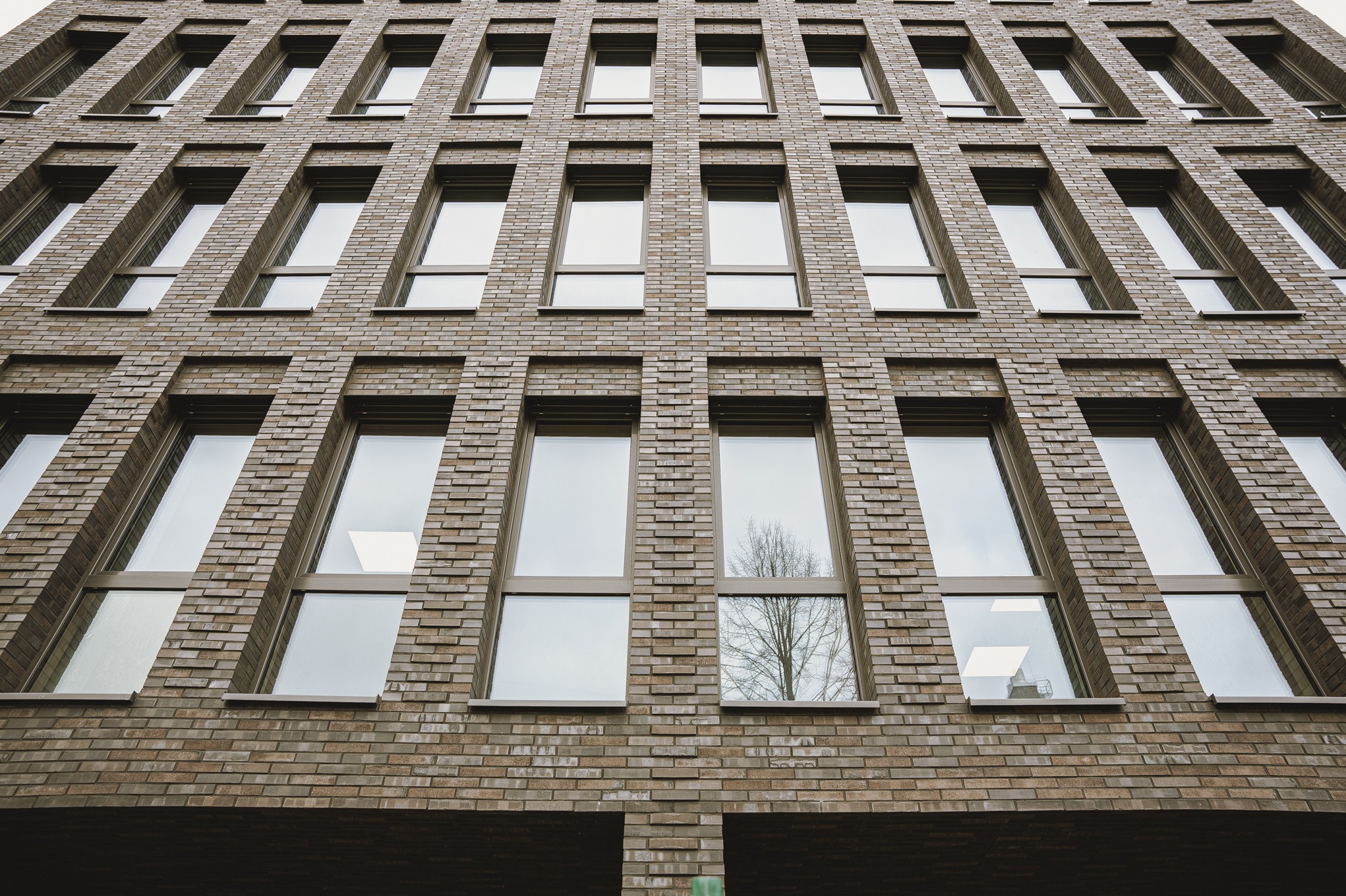 Nowoczesna elewacja budynku z cegły klinkierowej w odcieniach brązu, z regularnym układem okien odbijających niebo i drzewo bez liści.