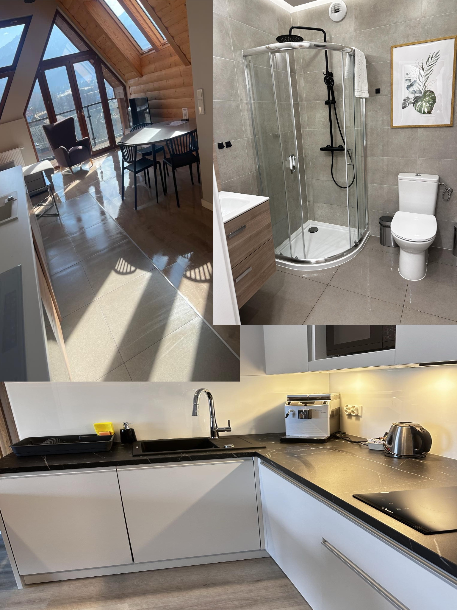 Wnętrze apartamentu: salon z drewnianą konstrukcją dachu i dużymi oknami, łazienka z kabiną prysznicową i toaletą, oraz kuchnia z białymi szafkami i czarnym blatem.