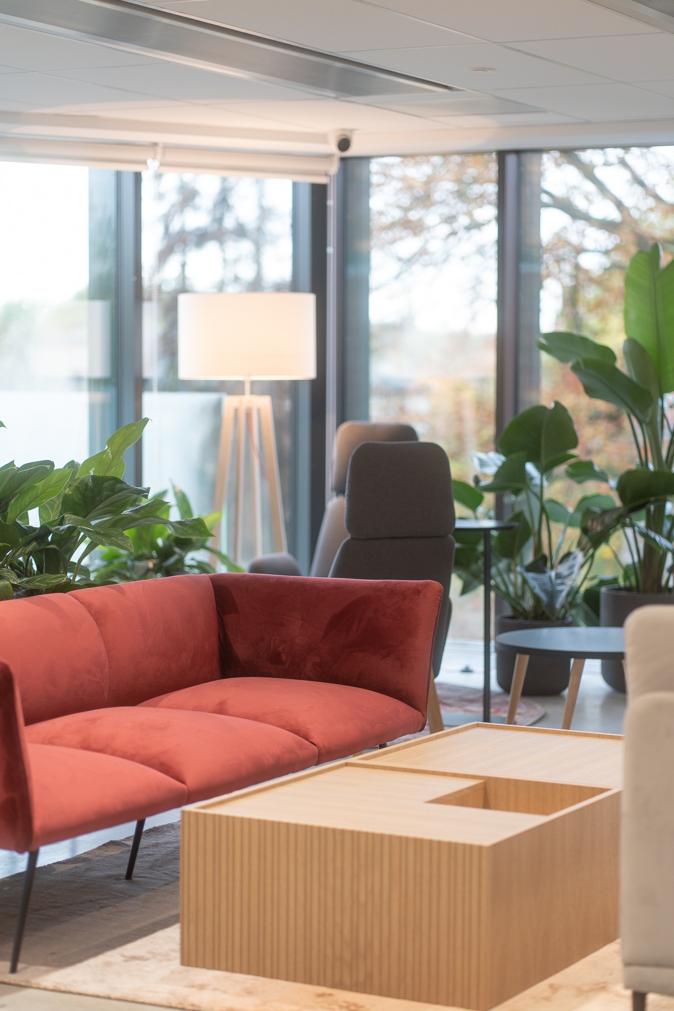 Jasne, nowoczesne wnętrze z czerwonym welurowym siedziskiem, drewnianym stolikiem kawowym z wnęką, lampą na trójnogu i roślinami doniczkowymi przy oknie.