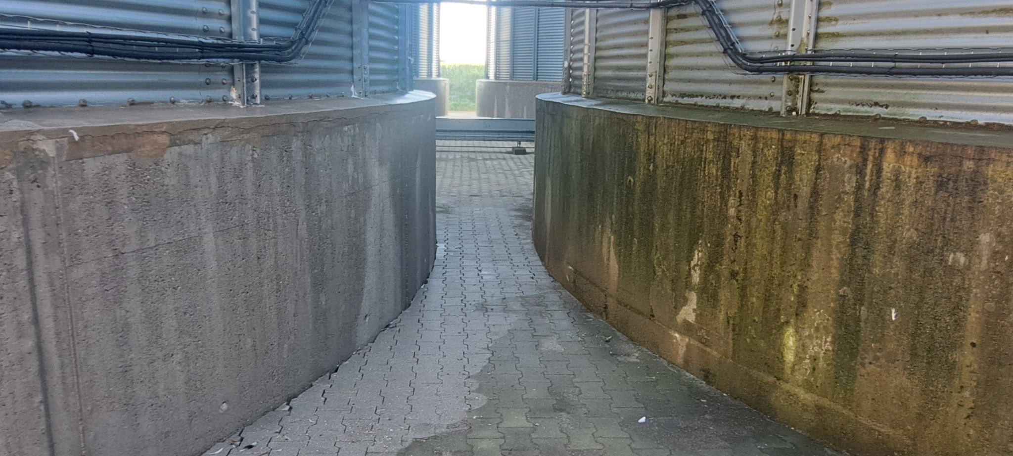 Widok na betonową podstawę silosu zbożowego z zanieczyszczeniami i mchem, oraz kostkę brukową. Perspektywa z dołu, podkreślająca masywność konstrukcji.