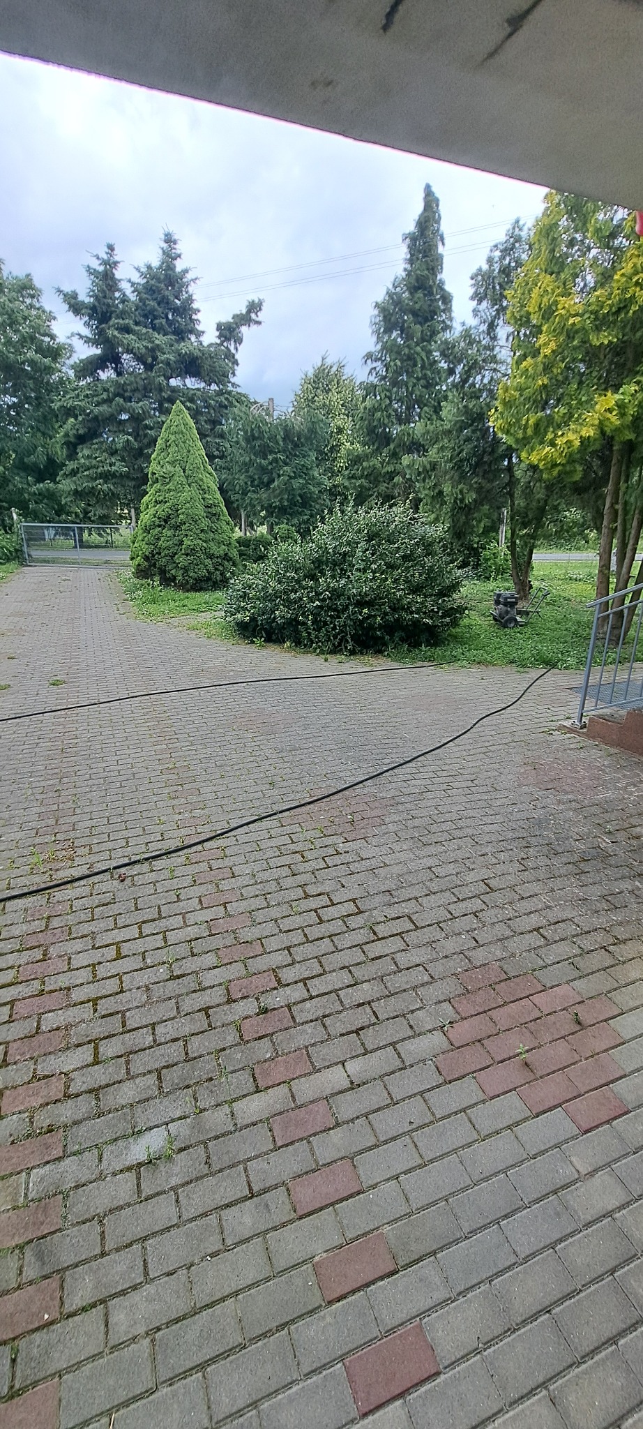 Szara kostka brukowa z czerwonymi akcentami, częściowo porośnięta mchem, prowadząca w kierunku zieleni. W tle widoczne drzewa i krzewy, a także fragment budynku.