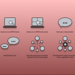Kasia Skrobotowicz - Ilustracja przedstawia etapy analizy i tworzenia strony internetowej: analiza strony klienta i konkurencji, rozmowa z właścicielem, ankietowanie, zbieranie wniosków i prezentacja raportu.