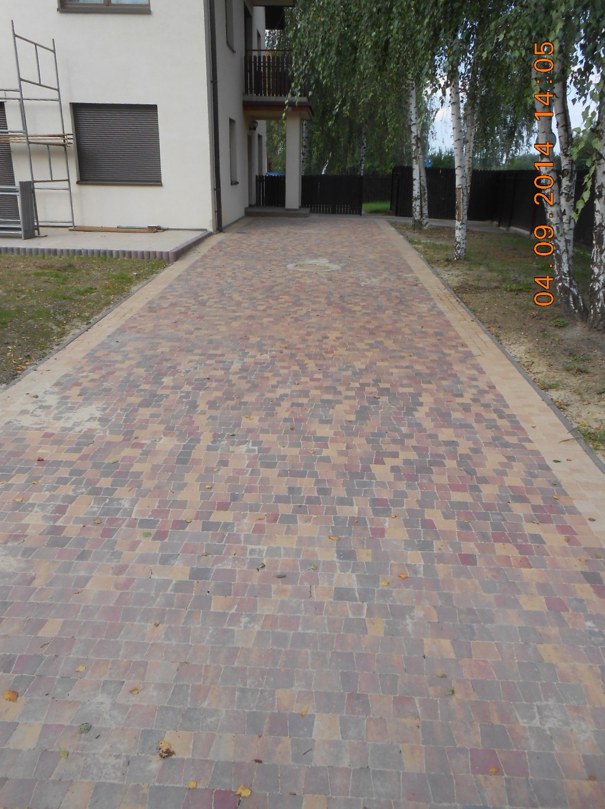 Szeroki podjazd z kostki brukowej w odcieniach czerwieni, brązu i szarości, prowadzący do domu z balkonem i ogrodzeniem, otoczony młodymi brzozami.