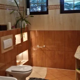 Ukończona łazienka z brązowymi płytkami, toaletą, bidetem, szarą wycieraczką i rośliną w doniczce na tle okna.