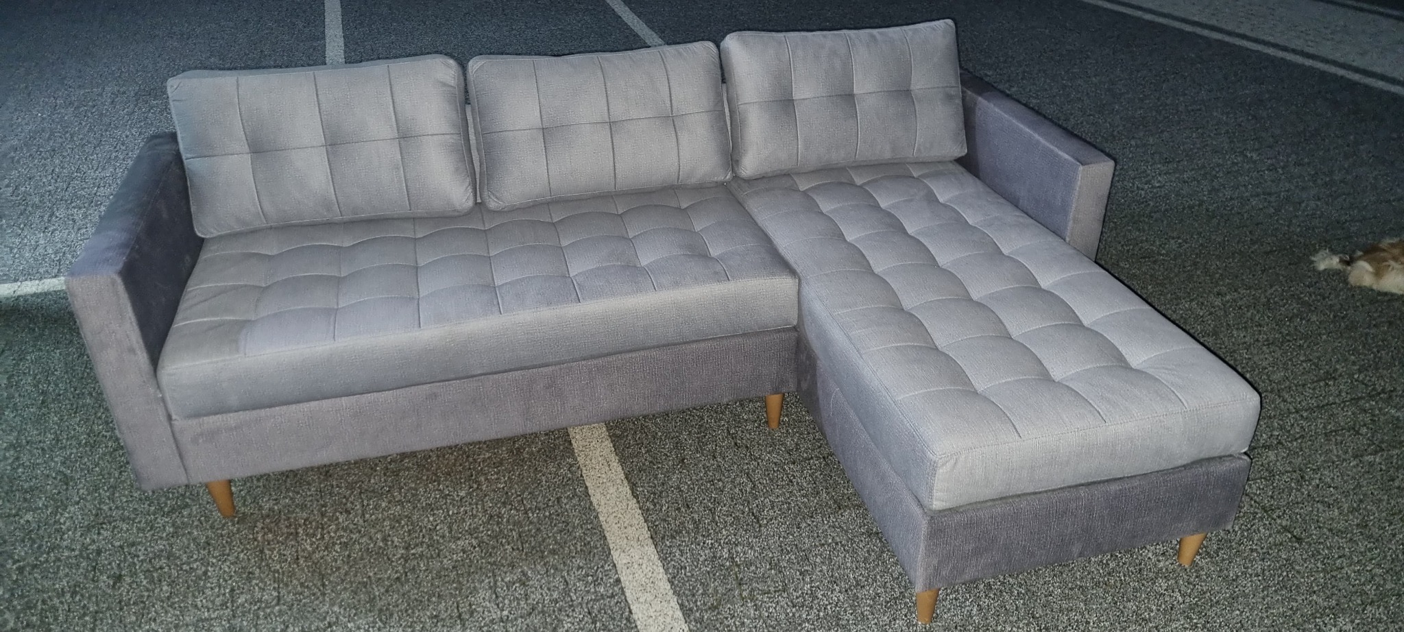 Szary narożnik z tapicerowanymi kwadratami, ustawiony na szarym dywanie, widoczne drewniane nóżki i fragment zwierzęcia w tle.