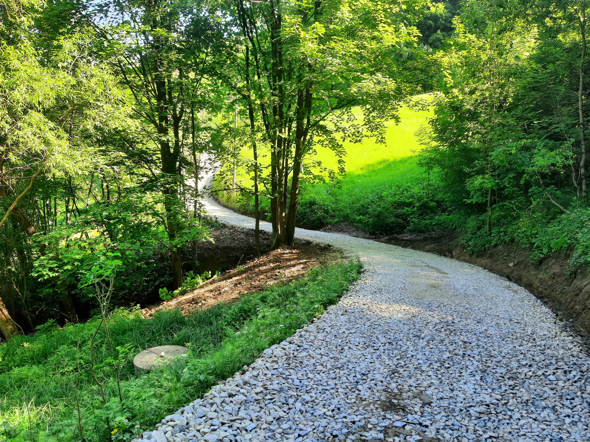Wąska, kręta droga wysypana jasnym żwirem, otoczona bujną zielenią drzew i trawy, prowadząca pod górę w słoneczny dzień.