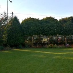 GREEN TREE Karol Kluczkowski - Utrzymany trawnik przed domem z równo przystrzyżoną trawą, ozdobne drzewa kuliste wzdłuż metalowego ogrodzenia, starannie dobrane rośliny rabatowe, widoczne elementy architektury budynku w tle.