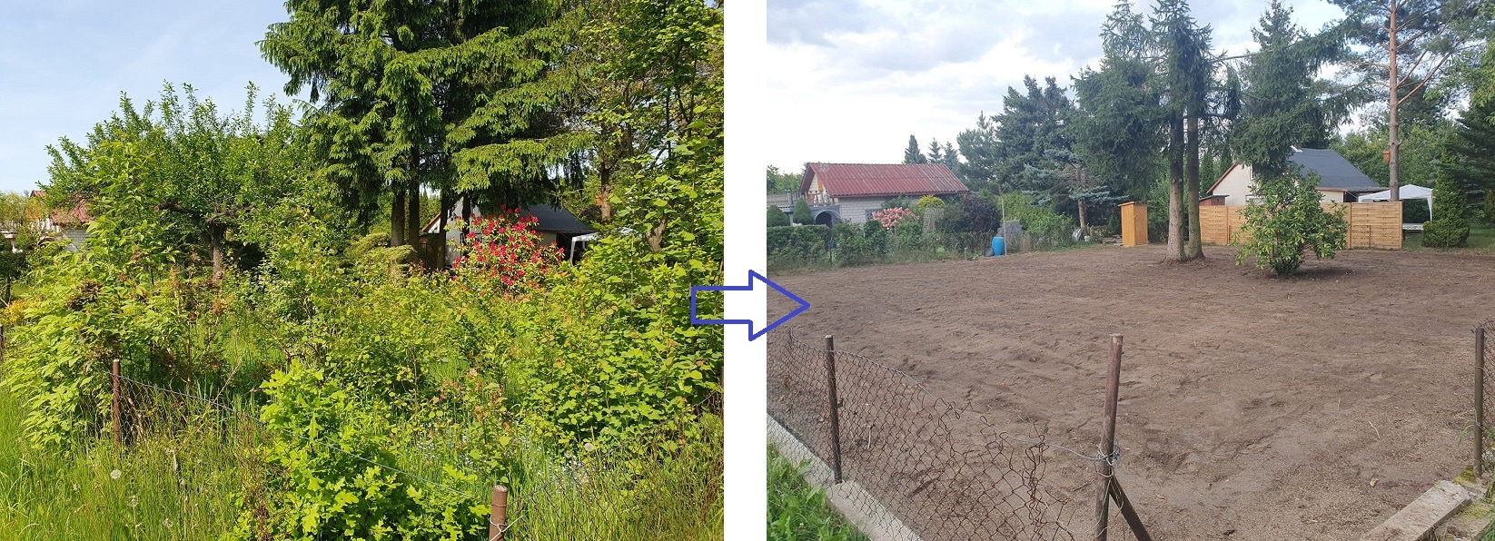 Porównanie terenu przed i po: zarośnięty ogród po lewej, wyrównany teren pod trawnik po prawej, oddzielone strzałką.