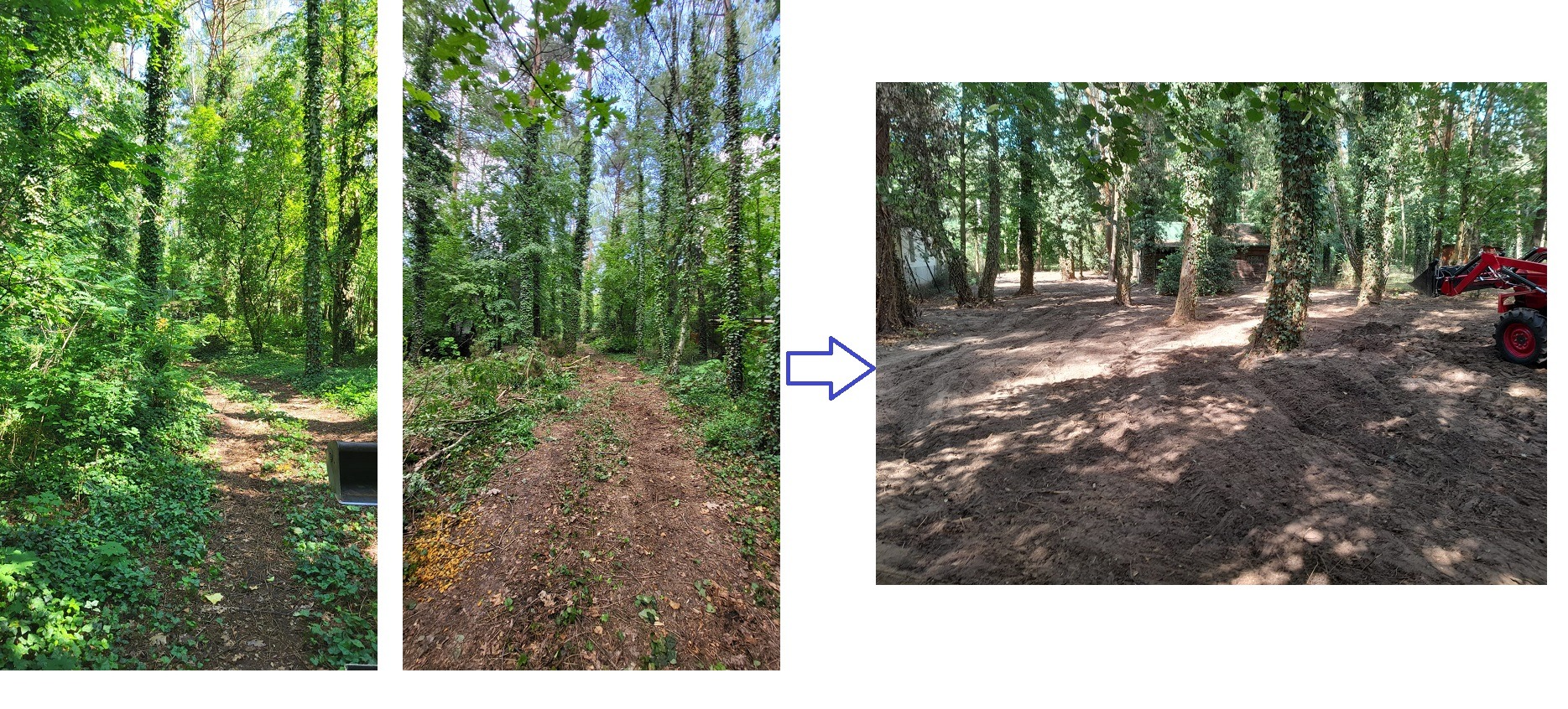 Przed i po: teren leśny z wykarczowanymi drzewami i wyrównaną ziemią, widoczny czerwony traktor z przodu.
