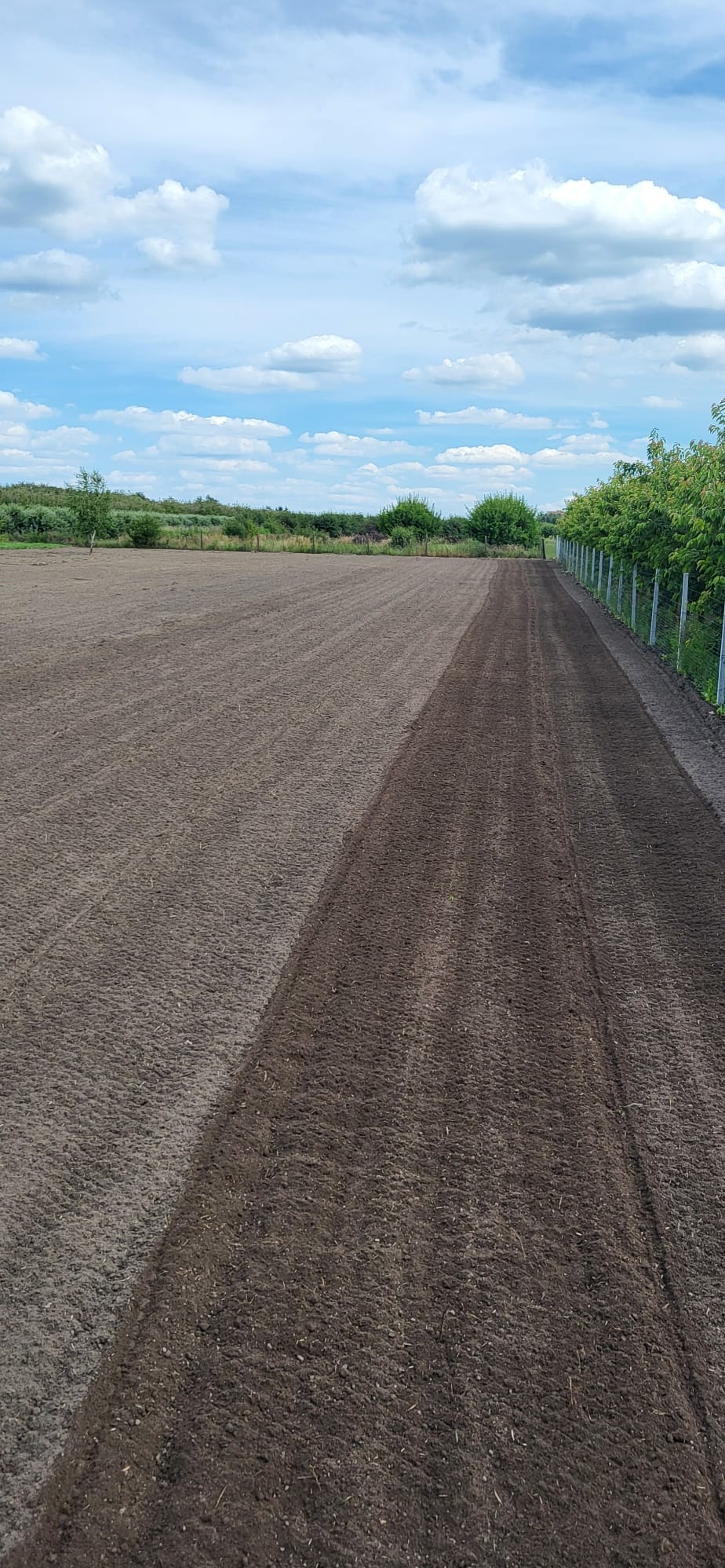 Przygotowany teren pod przyszły ogród, z widoczną granicą między ziemią wyrównaną i jeszcze nieprzetworzoną, w tle ogrodzenie i błękitne niebo z chmurami.
