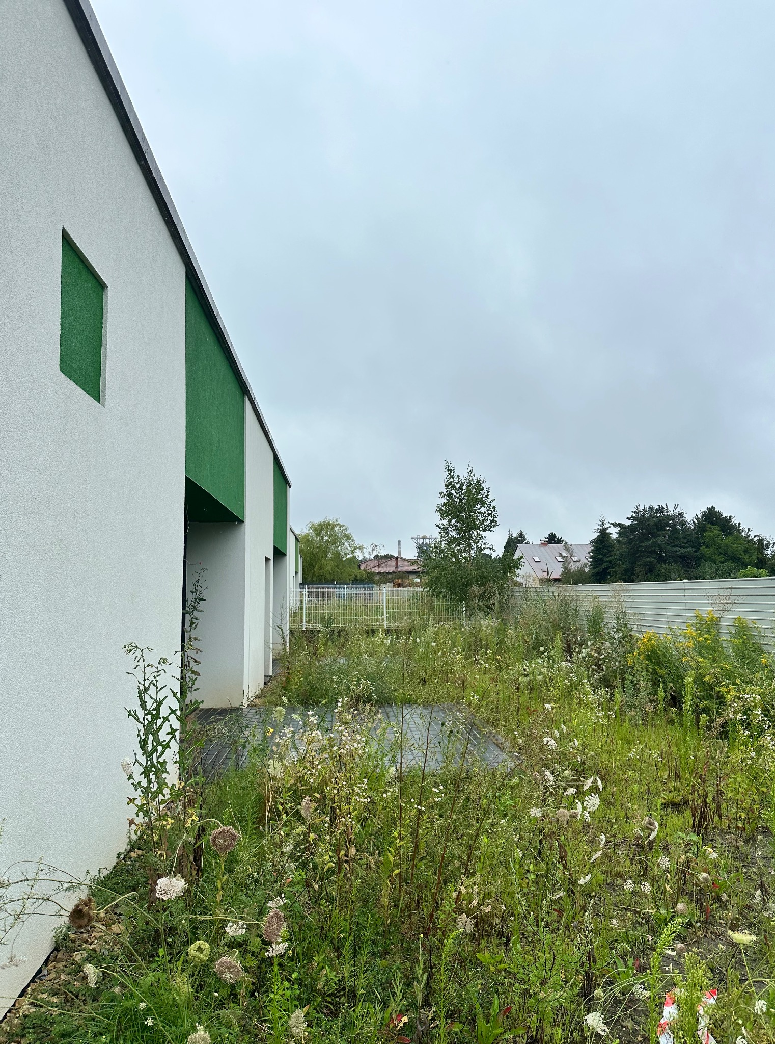 Zarośnięty plac przed budynkiem z zielonymi akcentami architektonicznymi. Chwasty i trawa dominują na zaniedbanym terenie.