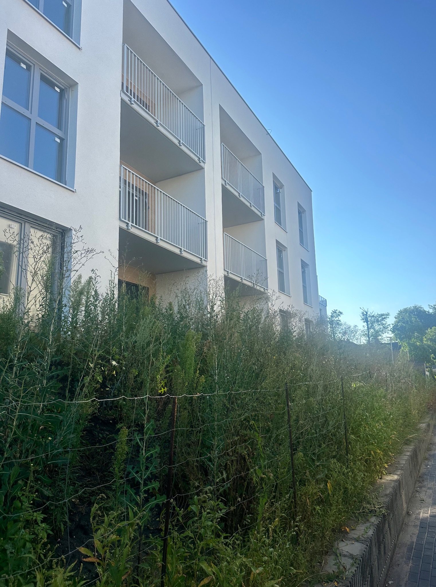 Zarośnięty teren przed nowoczesnym budynkiem z balkonami. Wysoka trawa i chwasty zasłaniają ogrodzenie i chodnik, kontrastując z architekturą budynku.