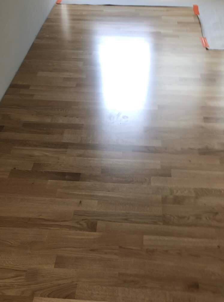 Świeżo położone, lakierowane panele podłogowe w Dębicy, zabezpieczone taśmą malarską przy ścianach, z widocznym odbiciem światła.