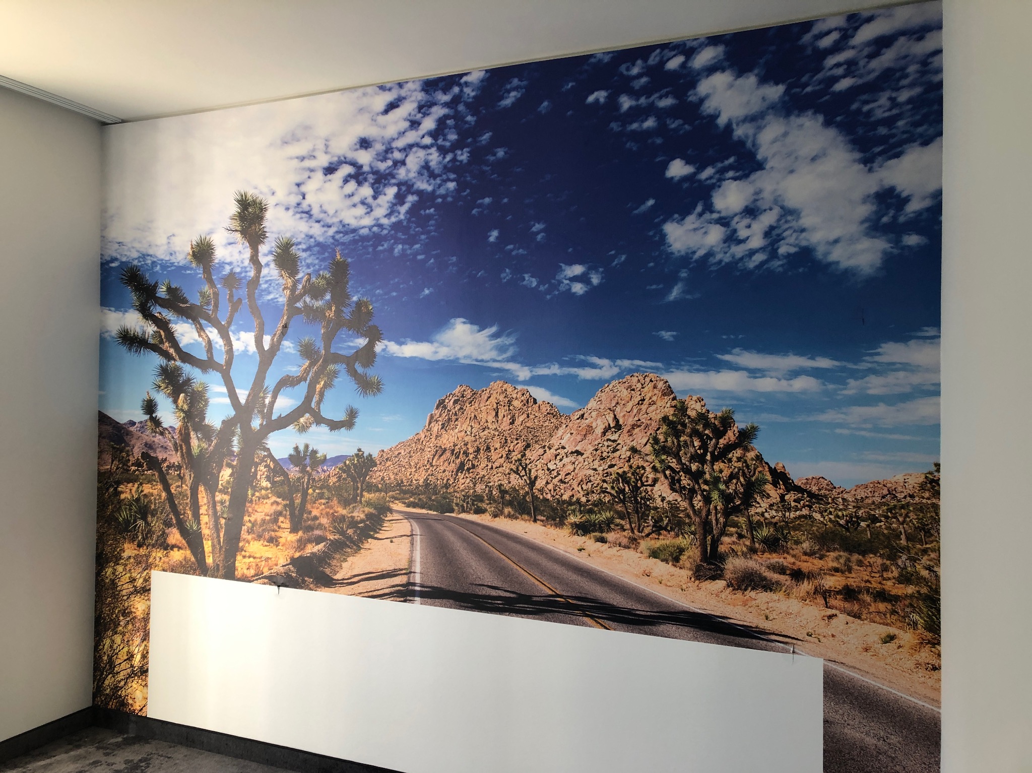 Fototapeta z motywem pustynnego krajobrazu z kaktusami Joshua Tree, górami i drogą, przyklejona na ścianie w biurze, z widocznym fragmentem białej ściany u dołu.