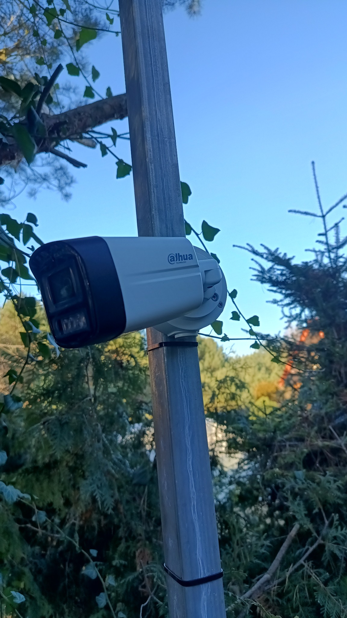 Kamera monitoringu Dahua na metalowym słupku, otoczona zielenią, na tle błękitnego nieba. Widoczne mocowanie kamery do słupka. Ujęcie z dołu, podkreślające obecność systemu.
