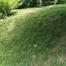 LPO-PK Las Park Ogród Usługi Ogrodnicze - Świeżo skoszona trawa na pagórkowatym terenie z widocznymi drzewami w tle.