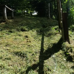 LPO-PK Las Park Ogród Usługi Ogrodnicze - Świeżo skoszone, nierówne trawnik z widocznymi resztkami trawy, cień drzewa na pierwszym planie, drewniana konstrukcja w tle.